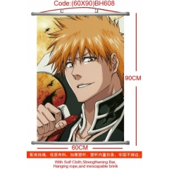 Bleach Anime Wallscrolls (60*90CM)