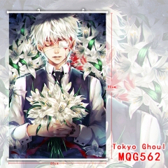 Japanese Cartoon Tokyo Ghoul 3D Print Wallscrolls Home Decoration New Arrivals Anime Wallscrolls 60*90CM