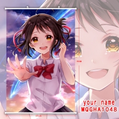 你的名字 MQGHA1048挂画