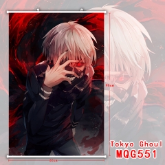 Japanese Cartoon Tokyo Ghoul 3D Print Wallscrolls Home Decoration New Arrivals Anime Wallscrolls 60*90CM