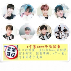 BTS-5 8款一套圆形布纹胸针