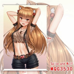 Spice And Wolf Cartoon Wallscrolls Waterproof Anime Wallscrolls 60X90CM