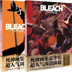 2 Styles Bleach Gift Anime Poster+Hand-Painted +Lomo Card+Sticker+Stand Plate+Postcard (Set)
