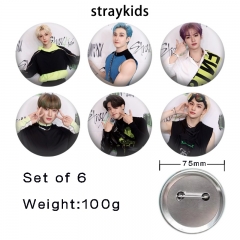 straykids-2 动漫马口铁亮膜徽章胸章(75徽章6个一套）