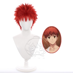 Fate/stay night FGO卫宫士郎cos假发 红色 打毛头顶短发