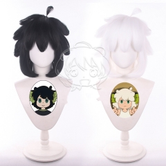 2 Styles 35cm The Legend of Luoxiaohei Cosplay For Party Anime Wig