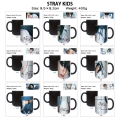 StrayKids 动漫周边变色陶瓷杯茶杯饮水杯马克杯