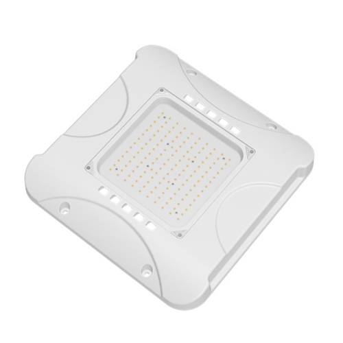 100W Led Canopy Light