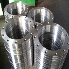 Hot Sell Customized Forged Stainless Steel Flange