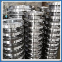 ASME B16.5 Stainless Steel Forged Flange Casting Pipe Flange (KT0369)