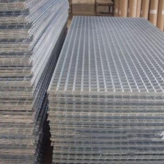 Steel Wire Mesh in Closed End /Welded Wire Mesh/Welded Fencing Mesh