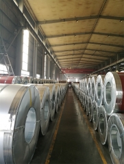 Galvanized Steel Coil