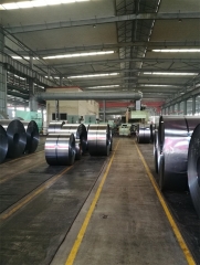 Galvanized Steel Coil