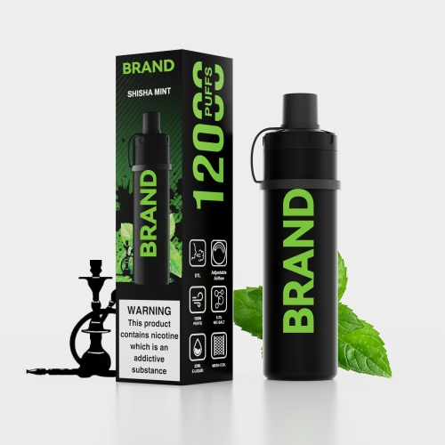 SHISHA MINT Disposable Rechrageable DTL Shisha Flavors Device