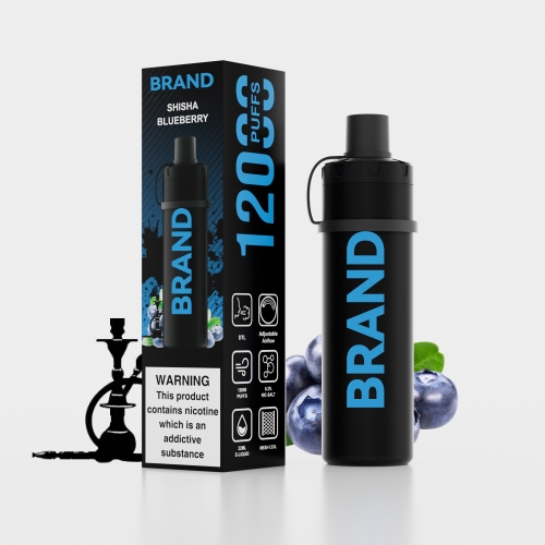 SHISHA BLUEBERRY  Disposable Rechrageable DTL Shisha Flavors Device