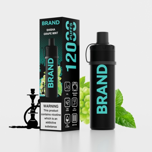SHISHA GRAPE MINT Disposable Rechrageable DTL Shisha Flavors Device
