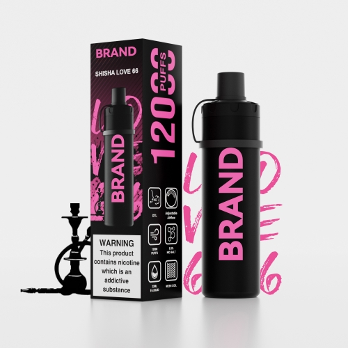SHISHA LOVE 66  Disposable Rechrageable DTL Shisha Flavors Device