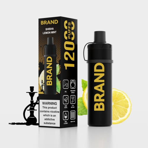 FUCIG C12000 SHISHA LEMON MINT  Disposable Rechrageable DTL Shisha Flavors Device FUCIG C12000