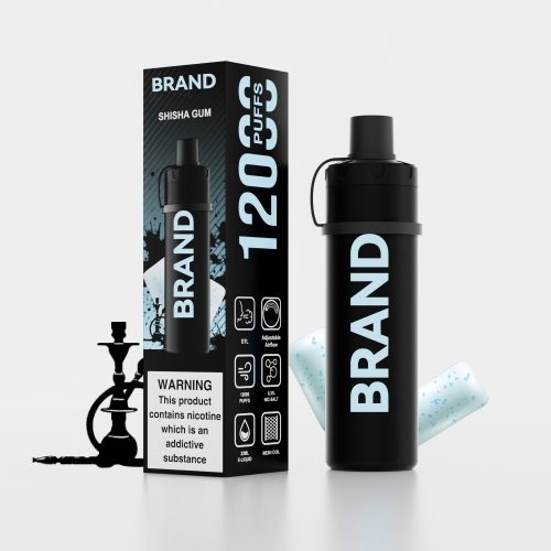 Shisha Gum Disposable Rechrageable DTL Shisha Flavors Device