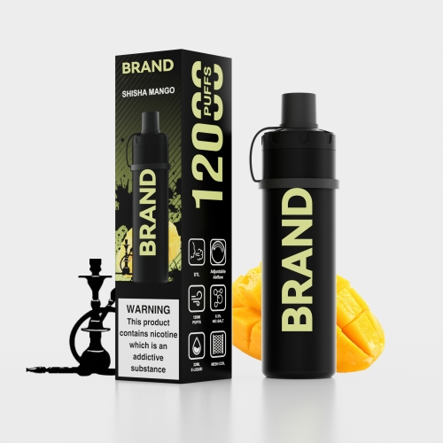 SHISHA MANGO Disposable Rechrageable DTL Shisha Flavors Device