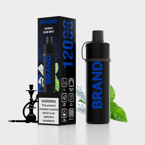 SHISHA GUM MINT  Disposable Rechrageable DTL Shisha Flavors Device
