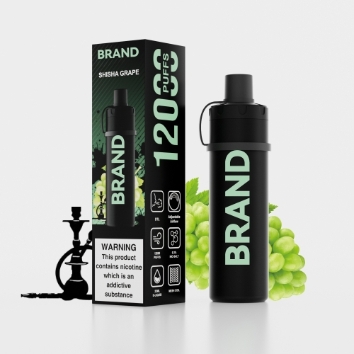 SHISHA GRAPE Disposable Rechrageable DTL Shisha Flavors Device