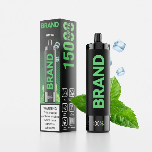 Mint  Ice  Disposable Rechargeable RDL Vape With & Dual Mesh Coil Screen Display  Device