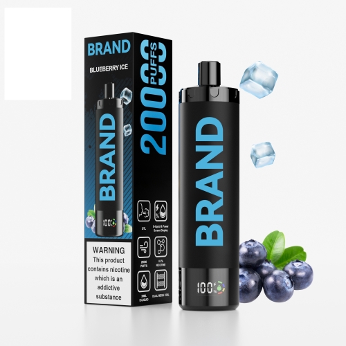 Blueberry Ice  Disposable Rechargeable DTL Vape With & Dual Mesh Coil Screen Display  Device FUCIG C20000