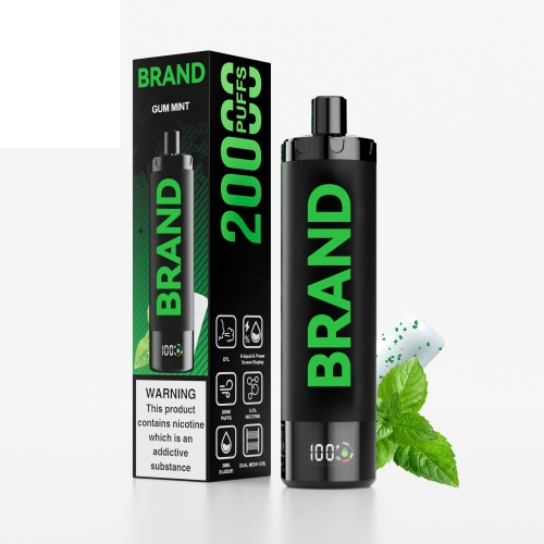 Gum Mint Disposable Rechargeable DTL Vape With & Dual Mesh Coil Screen Display  Device FUCIG C20000