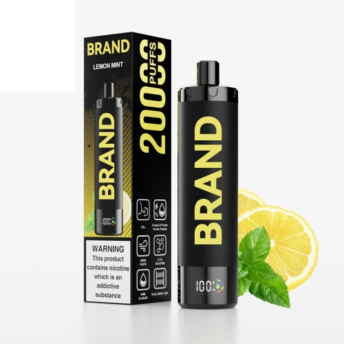 Lemon Mint Disposable Rechargeable DTL Vape With & Dual Mesh Coil Screen Display  Device FUCIG C20000