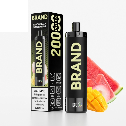Mango Peach Watermelon Disposable Rechargeable DTL Vape With & Dual Mesh Coil Screen Display  Device FUCIG C20000