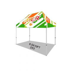 2X3/6.5X10FT Print Canopy Only(No-Joint)