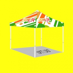 3X3/10FT Print Canopy Only (600D Seamless No Join)