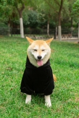 RAIKOU Manteau pour chien Hoodies Vêtements Coat Pullover Chien Recovery Suit Vêtements pour animaux de compagnie Protection Gilet d'échauffement pour chiens avec bandes réfléchissantes