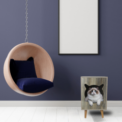 BONN Elegant cat rest area for comfort and style