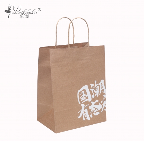 Paper bag with twisted handle / shopping paper bag / Gift paper bag / Delivery bag