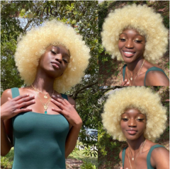 Afro KC Blonde Pixie Wig Short Lace Front Wig #613 Afro Kinky Curly Lace wigs Blonde Human Hair Cut Pixie Wig