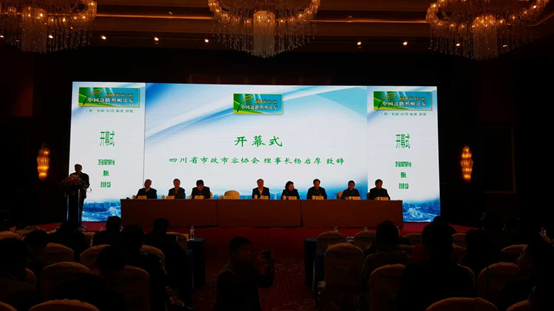 Our company takes part in the 2017 (thirteenth) China Road Lighting Forum.