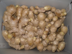 Air dried ginger