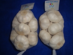 Pure White Garlic 500gx20bag/ctn