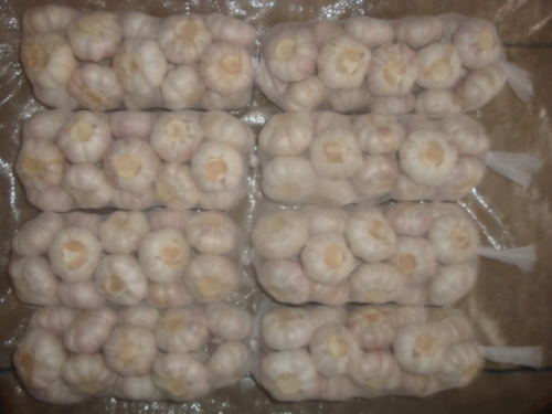 Peeled Garlic Cloves