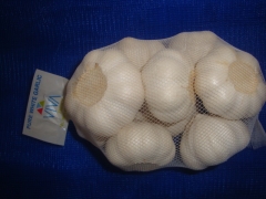 Pure White Garlic 500gx20bag/ctn