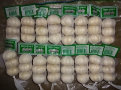 Pure White Garlic 3pcs/bag, 10kg/ctn