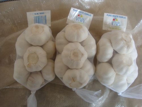 Pure White Garlic 500gx20bag/ctn