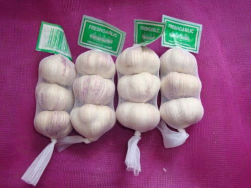 Normal White Garlic, 3pcs/bag,10kg/ctn