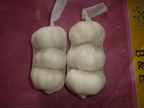Pure White Garlic 3pcs/bag, 10kg/ctn