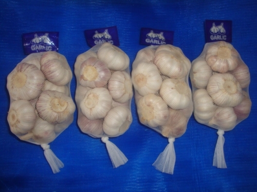 Normal White Garlic, 500gx20bags/mesh bag