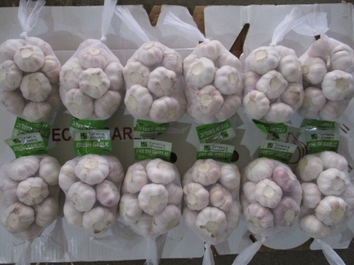 Normal White Garlic, 400gx25bags/mesh bag