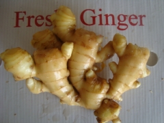 Fresh Ginger