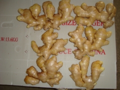 Air dried ginger